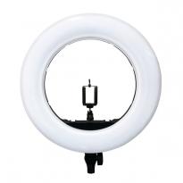 Лампа со штативом OKIRA LED RING AX 480 E LED 240 (монитор/пульт) 